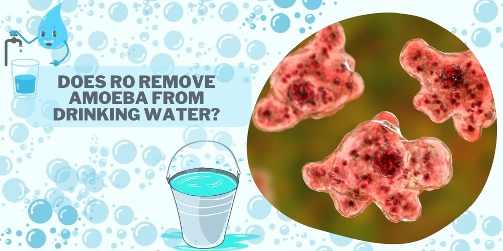 Does Ro Remove Amoeba From Drinking Water